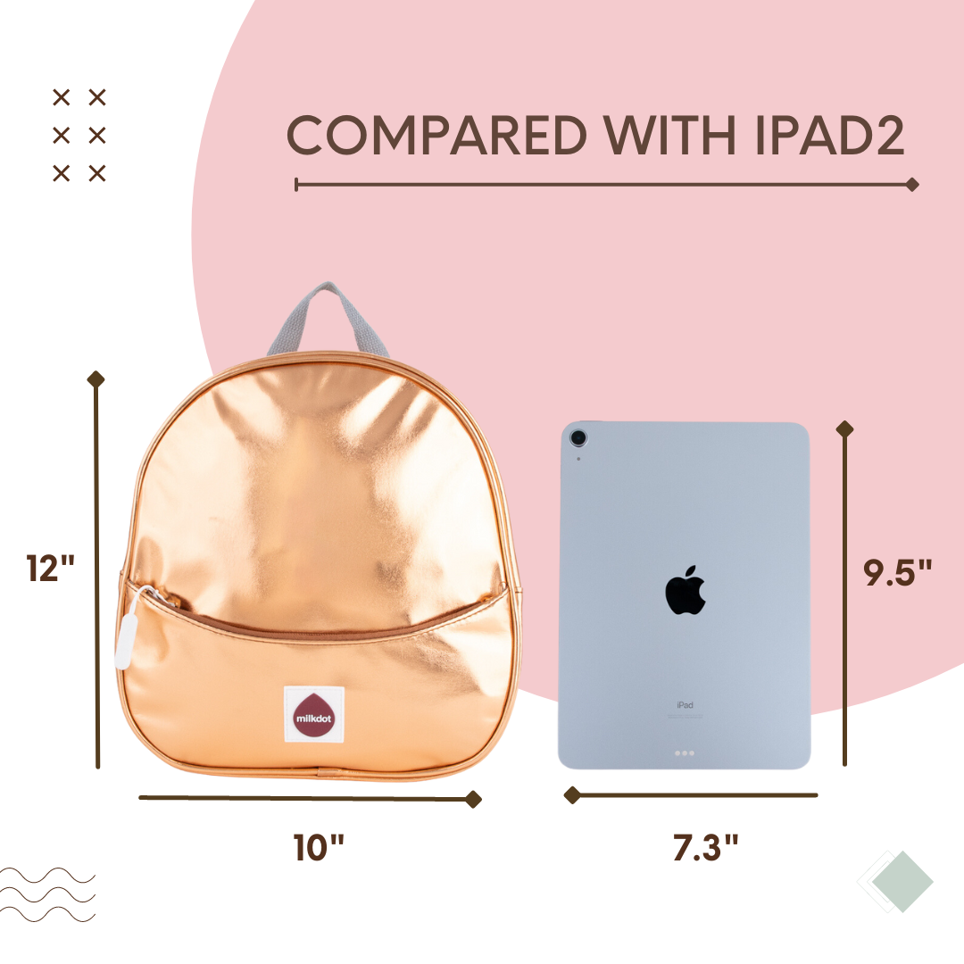 Mini Backpack | Gold