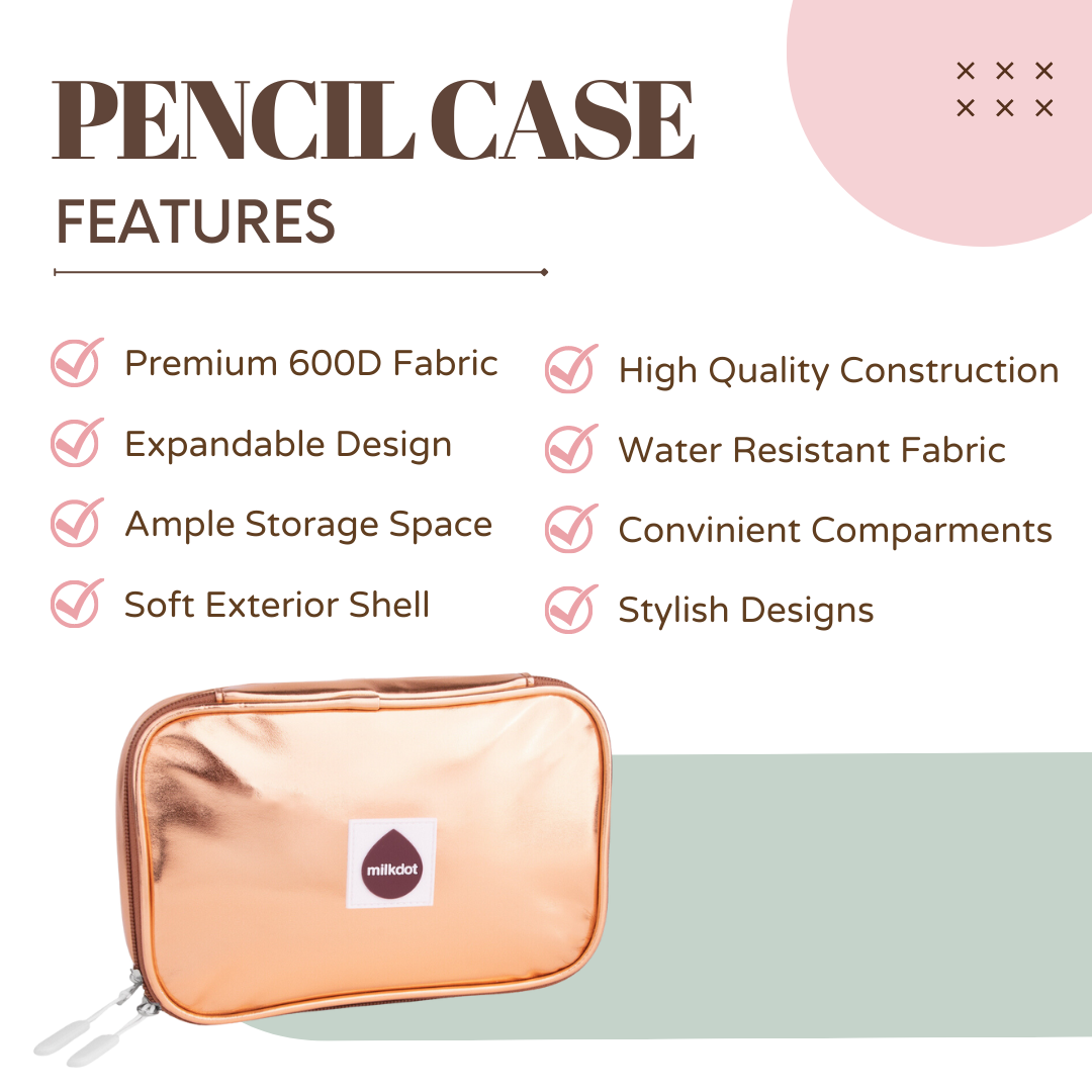 Pencil Case | Gold Metallic