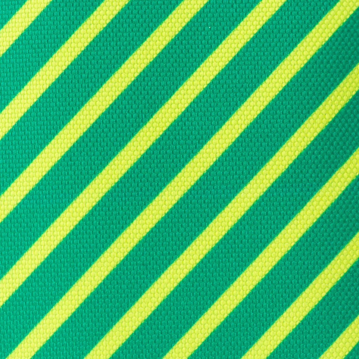 Lunch Tote | Green Stripe