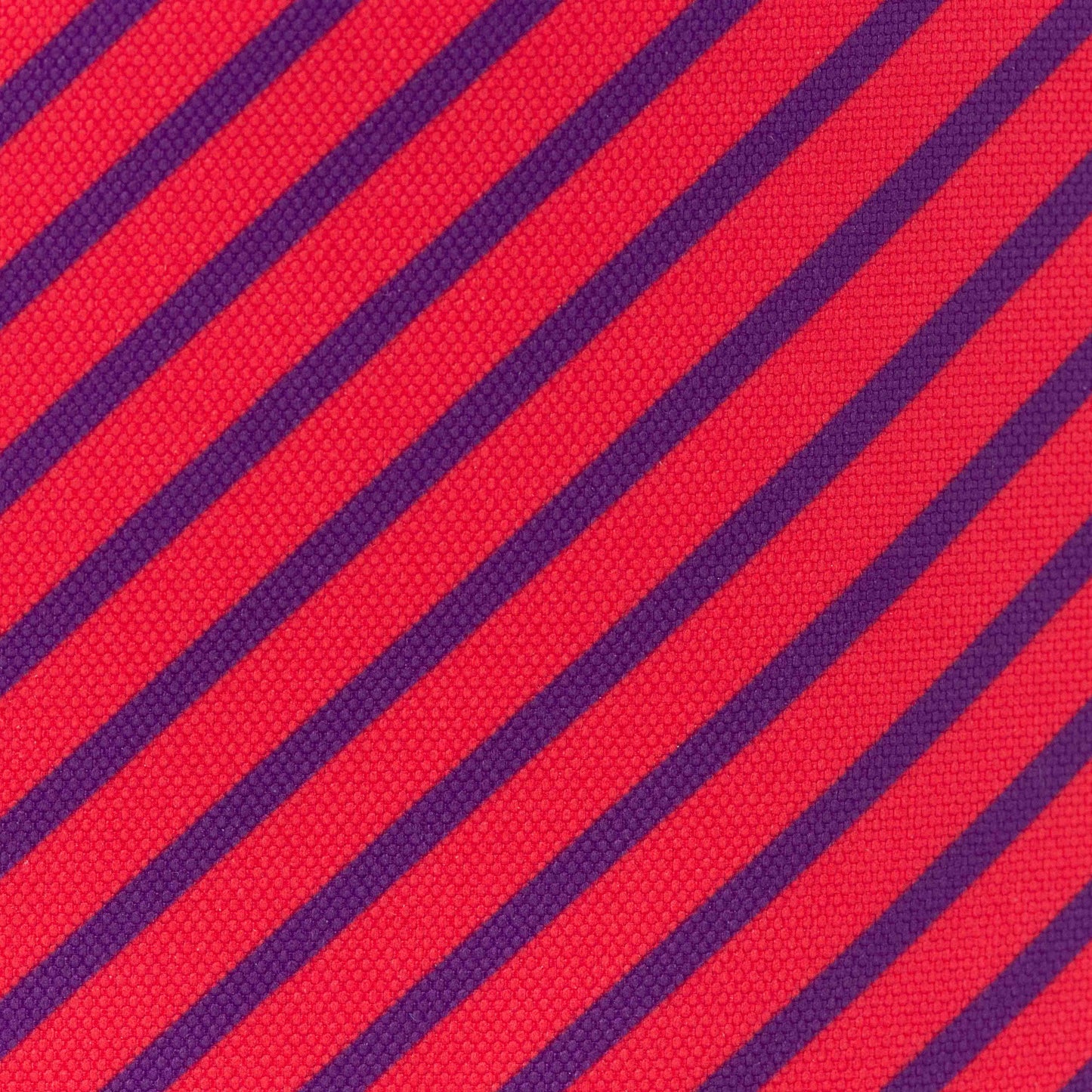 Lunch Tote | Raspberry Stripe