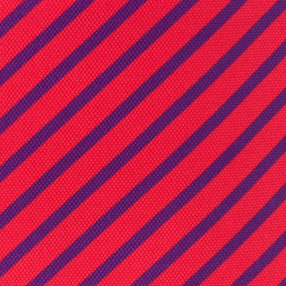 Lunch Tote | Raspberry Stripe